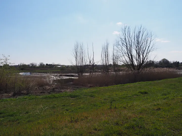 Kalkense Meersen (België)